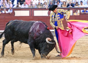 Juan Mora: “El toreo toca la perfección, pero es demasiado previsible” (y 2)