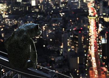La aventura de vivir (y traducir) los sueños de Murakami