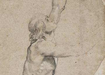 Subastado por seis millones de euros un dibujo de Rubens, propiedad de la familia real holandesa