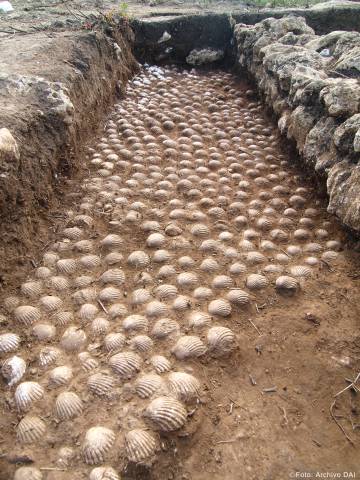 Conchas protectoras contra el mal colocadas frente a una de las viviendas del yacimiento de Castillejos de Alcorrín.