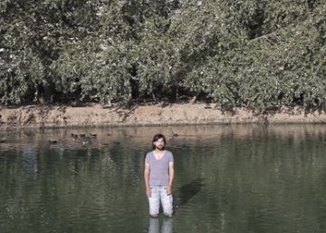 El canto de los pájaros que calmó un duelo