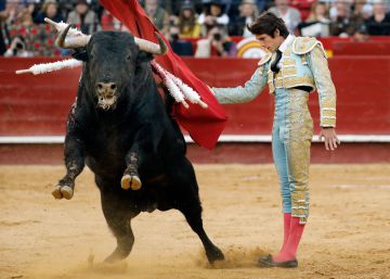 De ‘Horroroso’ a ‘Damasco’, dos toros de bandera, a Roca Rey y Paco Ureña