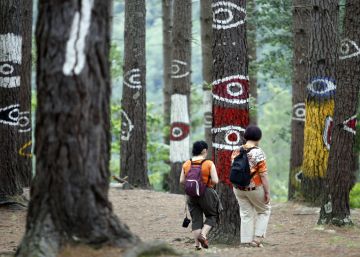 El Bosque Pintado de Oma enferma por una plaga de hongos