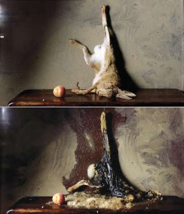 'Still Life' (2001), de Sam Taylor-Wood (ahora Taylor-Johnson).