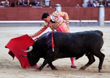 Destellos de torería