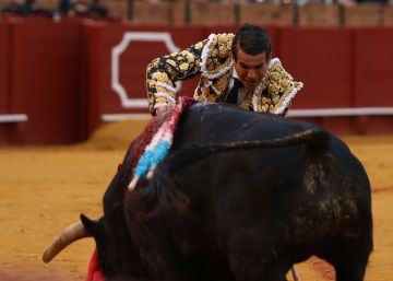 Sensibilidad animal en La Maestranza