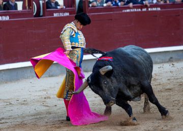 ‘Carasucia’, un motor de alta gama