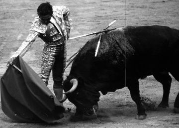 Paco Camino, Premio Nacional de Tauromaquia Joaquín Vidal