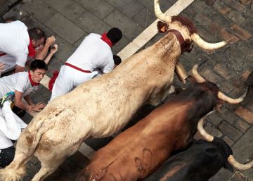 Los toros de la ganadería gaditana de Cebada Gago este lunes en la calle Estafeta