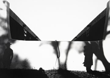 La realidad a través de las líneas, de las curvas y las abstracciones