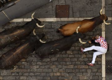 Limpio y rapidísimo séptimo encierro de los novatos toros de La Palmosilla