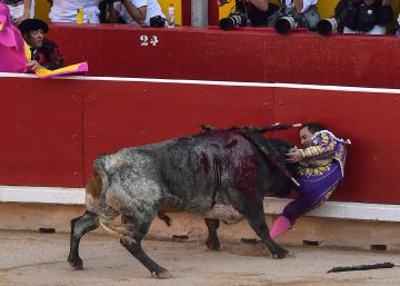 Rafaelillo, dado de alta en Pamplona:
