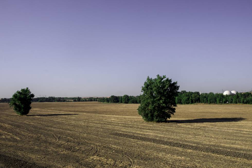 Un campo de cultivo con las bóvedas blancas de la depuradora de Butarque (Madrid) al fondo.