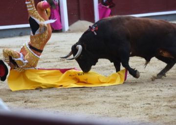 Roca Rey se recupera ya en Sevilla de su lesión de cervicales