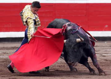 Toro tonto, figuras aburridas