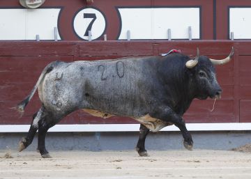 Dos desafíos y una corrida concurso se anuncian en Las Ventas en septiembre
