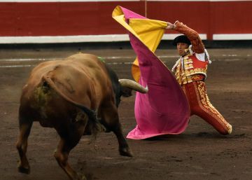 Profesores de la lidia