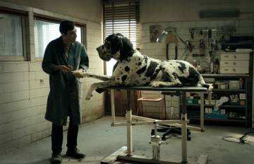 ¿Qué ver hoy en TV? | Jueves 5 de septiembre de 2019