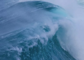El sonido del agua como único narrador: la película que reinventa los documentales de naturaleza