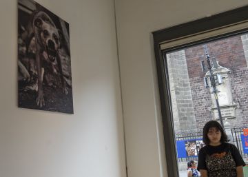 ‘¿No oyes ladrar a los perros?’, una exposición desde la periferia de Ciudad de México