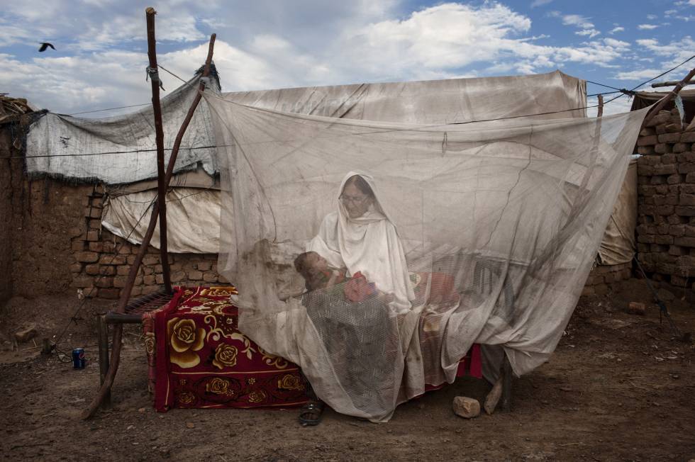 Refugiados paquistaníes en el campo de Jazolai (Pakistán), en 2014.