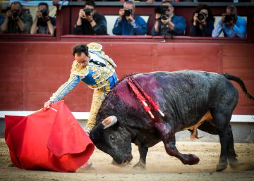 De cómo la crisis económica ha mejorado la calidad del toro de lidia