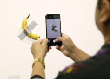 Vicisitudes de un plátano