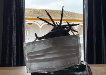La afición taurina pone el dedo en la llaga ante la crisis del coronavirus