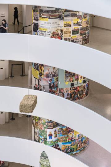 Rem Koolhaas, un hombre de campo