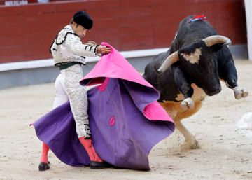 Fernando Robleño, un torero heroico, ambicioso, triste, feliz... (y de otro tiempo) Fernando Robleño, un torero heroico, ambicioso, triste, feliz... (y de otro tiempo)