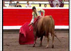 Aguilar recibe una cornada similar a la de Aparicio en Bilbao