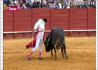 Mansa y deslucida corrida del Conde la Maza Mansa y deslucida corrida del Conde la Maza