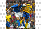 Trapattoni hunde a Italia