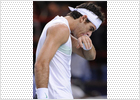 Del Potro se retira y deja el camino libre a Stepanek