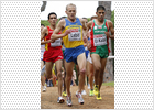 Seis medallas en plena Operación Galgo