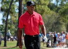 Los achaques de Tiger Woods
