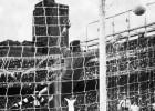 El Betis retiró a Di Stéfano y Puskas