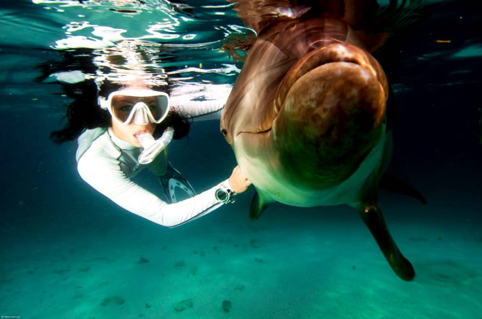 snorkelling en Roatan, Honduras