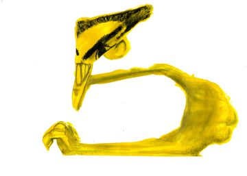 Las 21 despedidas de Contador