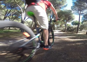 Cinco razones para adquirir una bicicleta de montaña eléctrica