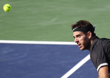 Del Potro, el coleccionista de trofeos