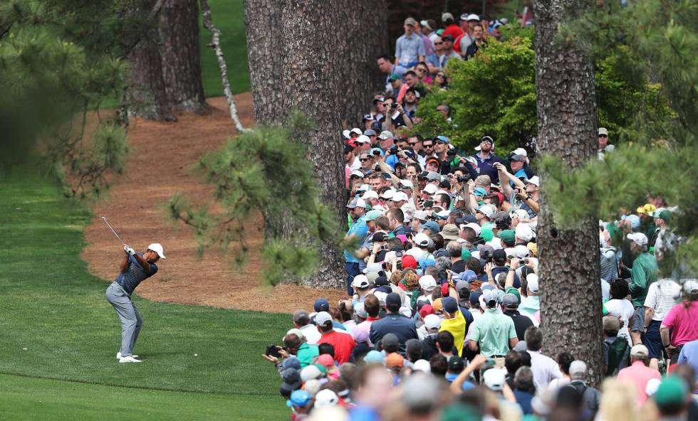 La expectación por ver a Tiger.