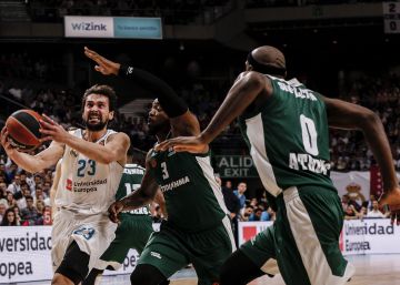 El Real Madrid gana a Panathinaikos y se mete en la Final Four de la Euroliga