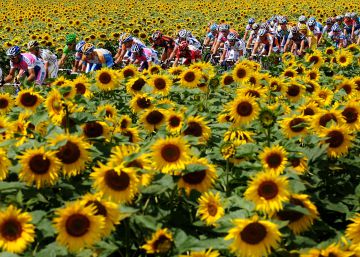La crónica ciclista y sus maestros