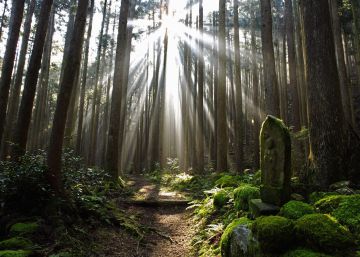 Seis destinos de viajes de aventura en Japón