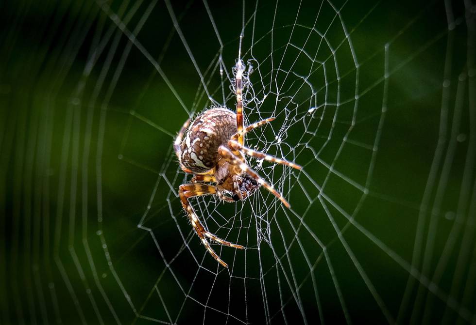 10 tentadores planes al aire libre para un otoño vibrante