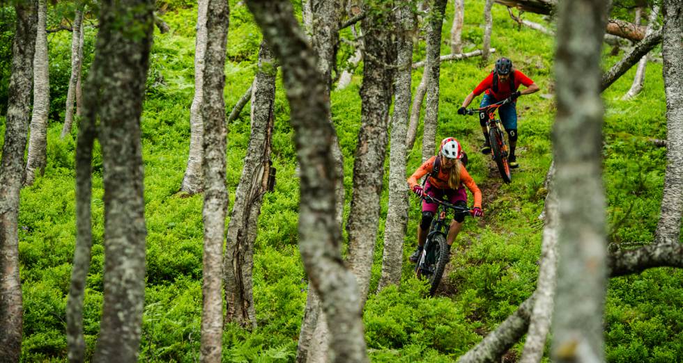 BTT, por 'single trail'.