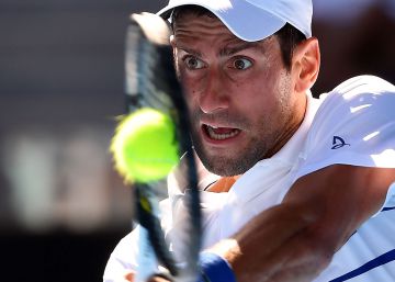 Djokovic jugador, Nole presidente