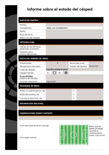Así es la planilla que deben rellenar los clubes para informar del estado del césped.