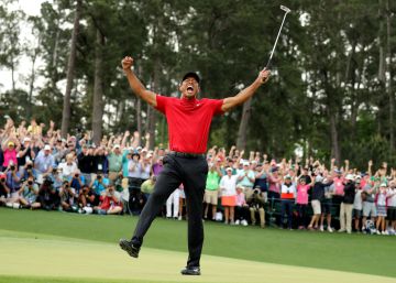 Tiger ya no está solo en el gimnasio